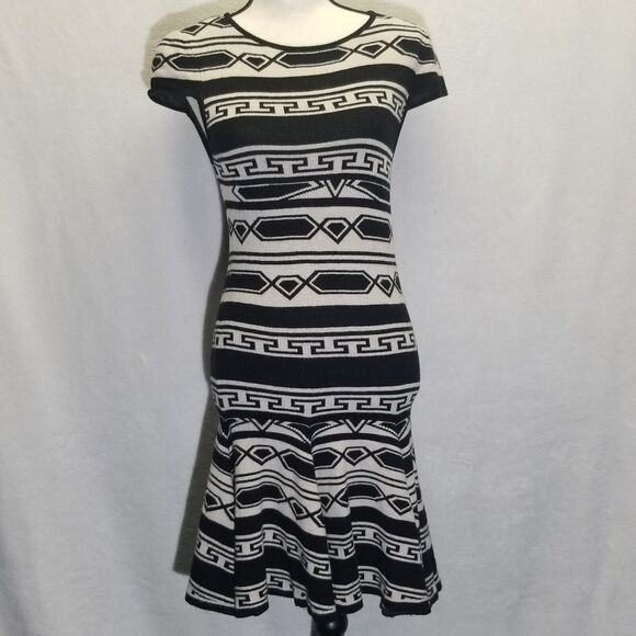 ALICE & OLIVIA Dress Sz S Black Ivory Sweater Stripe Darby Knit Aztec Drop Waist - Picture 1 of 10